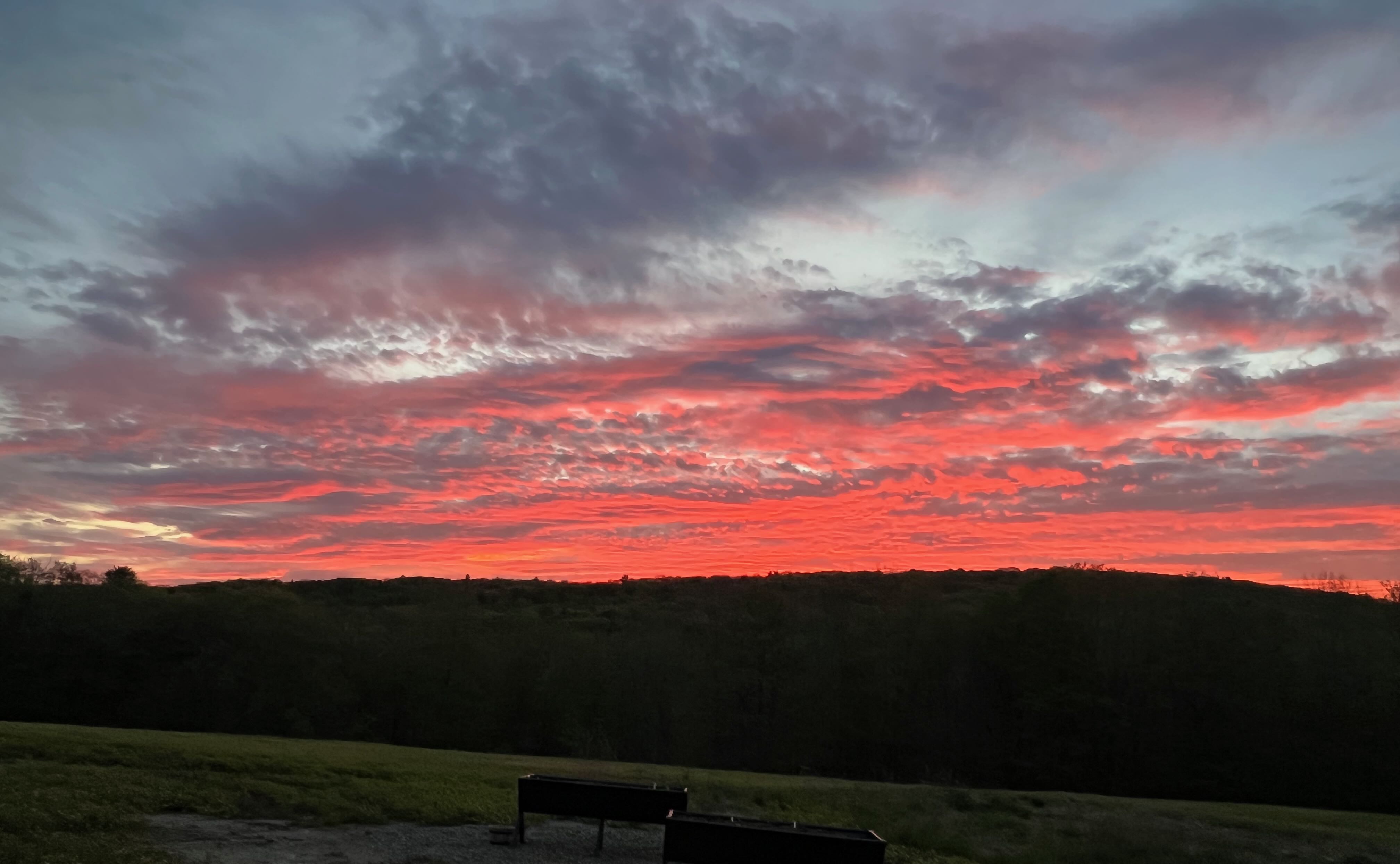 Fiery sunset over the treeline at Blueberry Meadows
